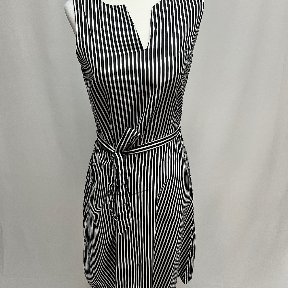 Loft Black and White Striped Dress